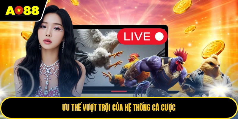 Ưu thế vượt trội của hệ thống cá cược